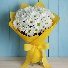 Букет цветов из:  Хризантемы в Искре Курской области