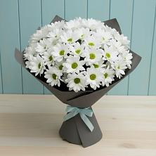 Букет цветов из:  Хризантемы в Искре Курской области