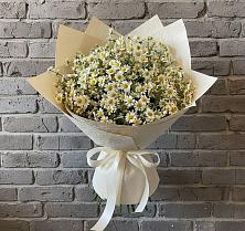Букет цветов из:  Ромашки в Искре Курской области
