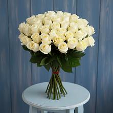 Букет 51 Белая роза Эдлесс Лав в Искре Курской области