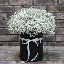 Цветочная композиция из Гипсофила в шляпной коробке в Искре Курской области